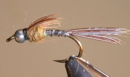 BH Lightning Bug - Silver