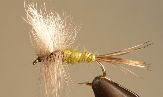 Colorado Green Drake