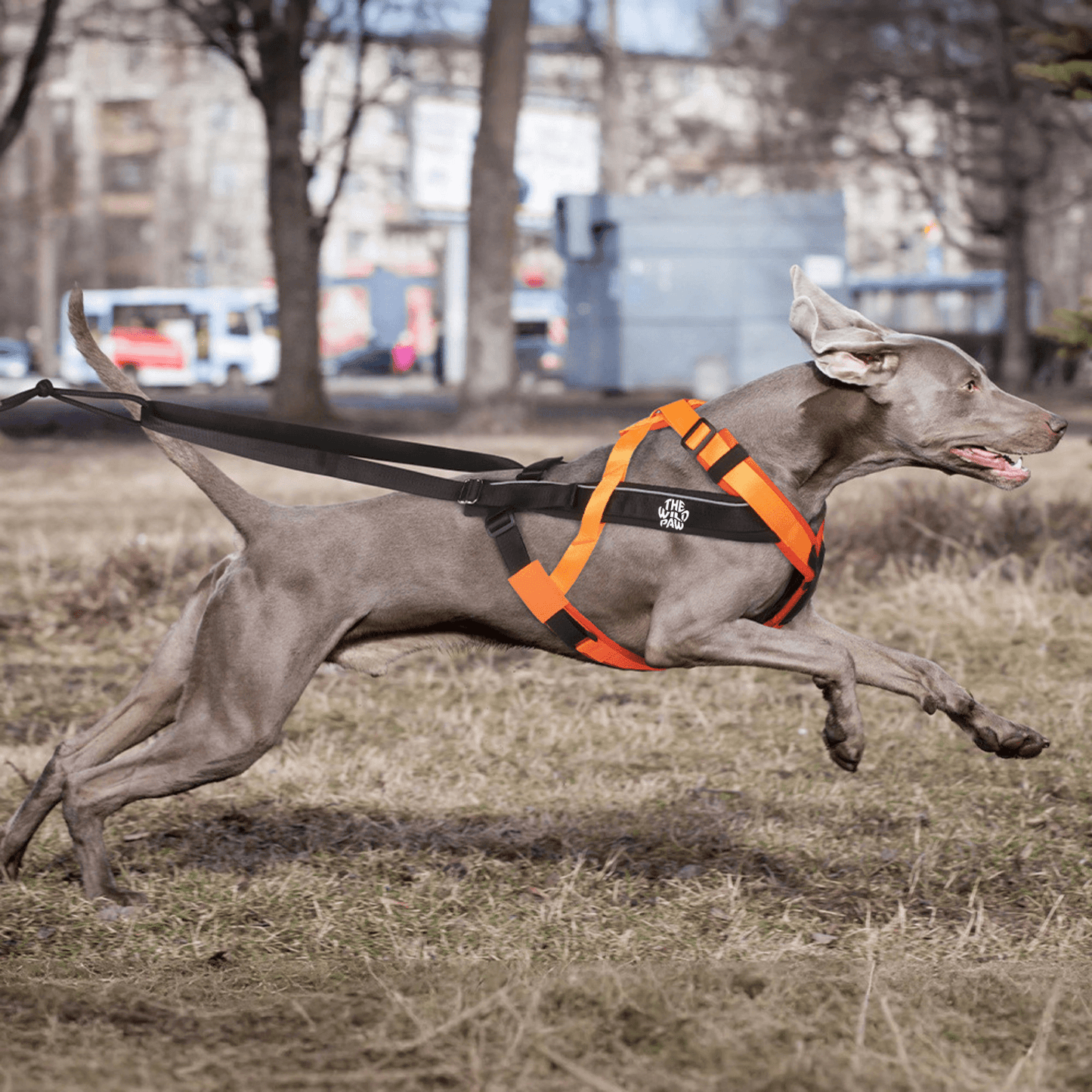 TrailControl No-Pull Harness