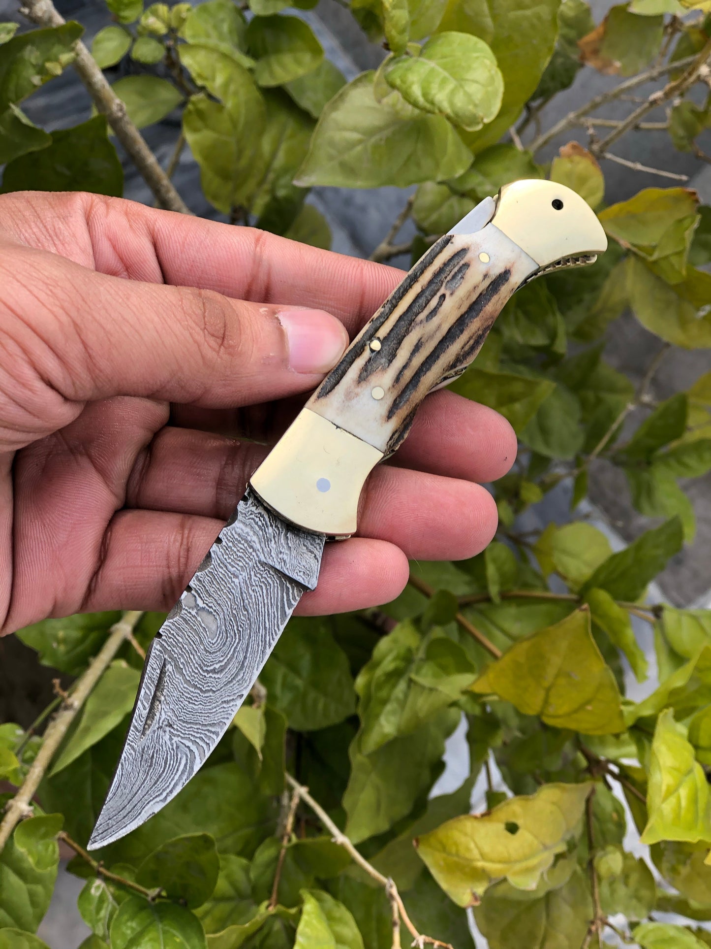 Custom Handmade Damascus Steel Folding Pocket Knife with Antler Horn and Brass Bolsters Handle and Leather Case - For Sale by KBS Knives Store