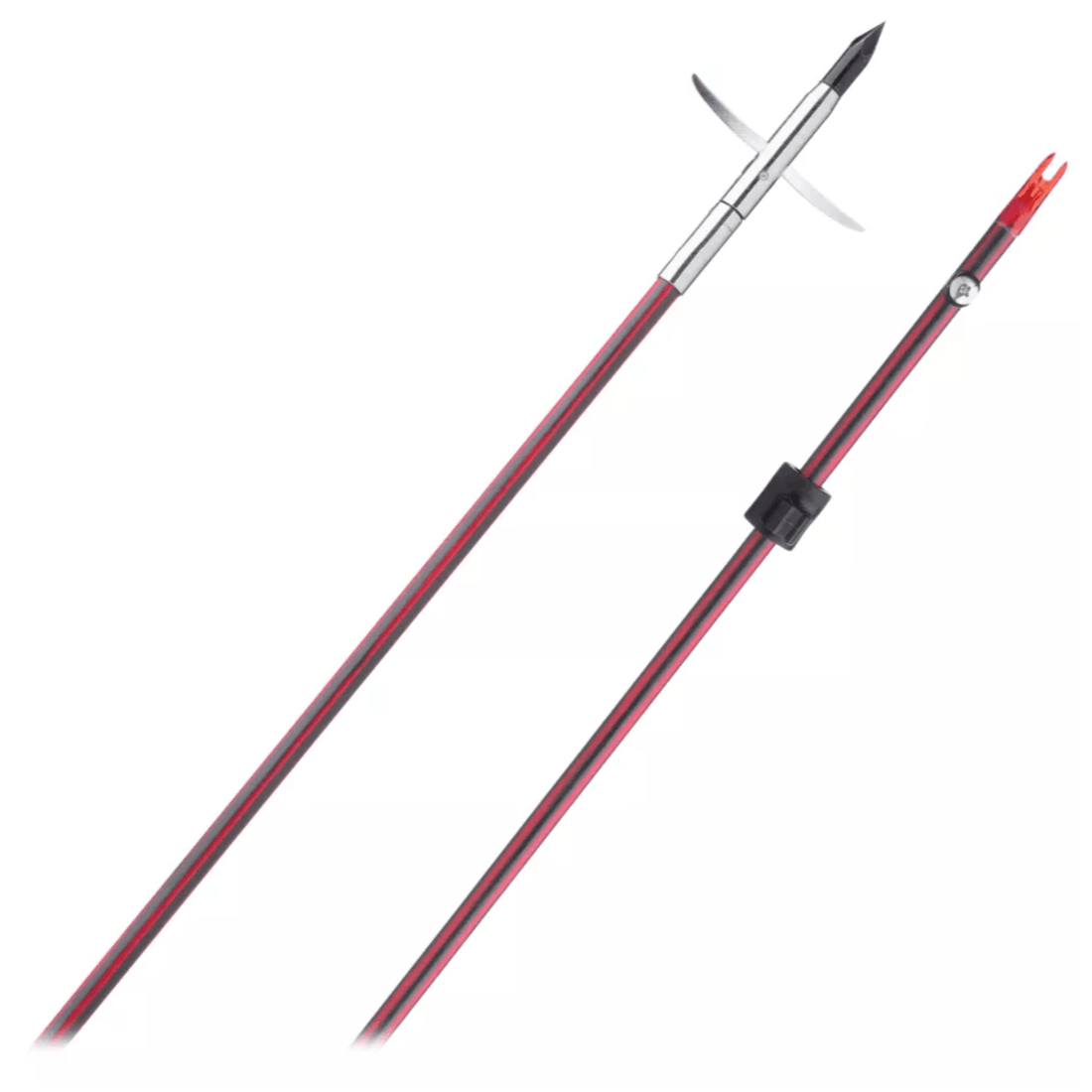 Archery Basics: Getting Started with Bow Hunting and Bowfishing