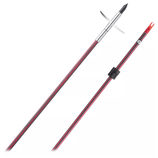 Archery Basics: Getting Started with Bow Hunting and Bowfishing