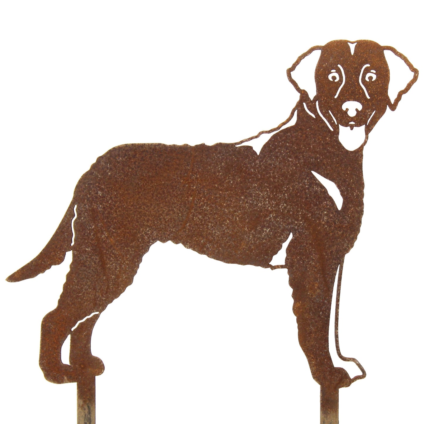 Chesapeake Bay Retriever Metal Art – Handmade Steel Dog Silhouette