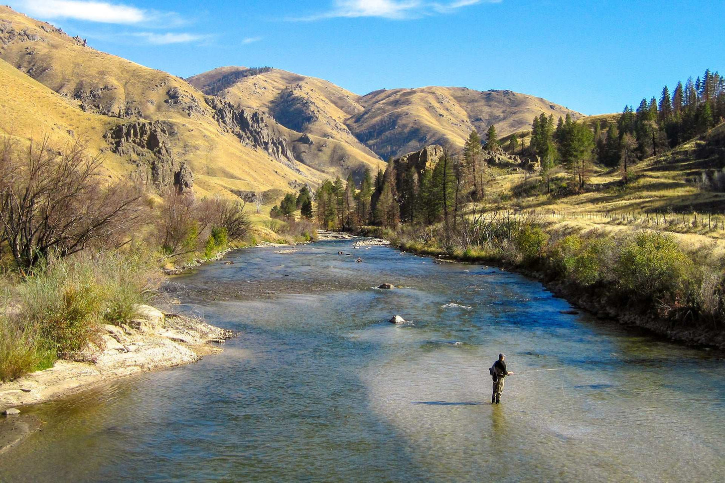 Barbless White Wulff Classic Hair Wing Dry Fly - 6 Flies Hook Size 10