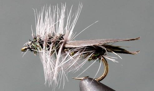 Hemingway Caddis