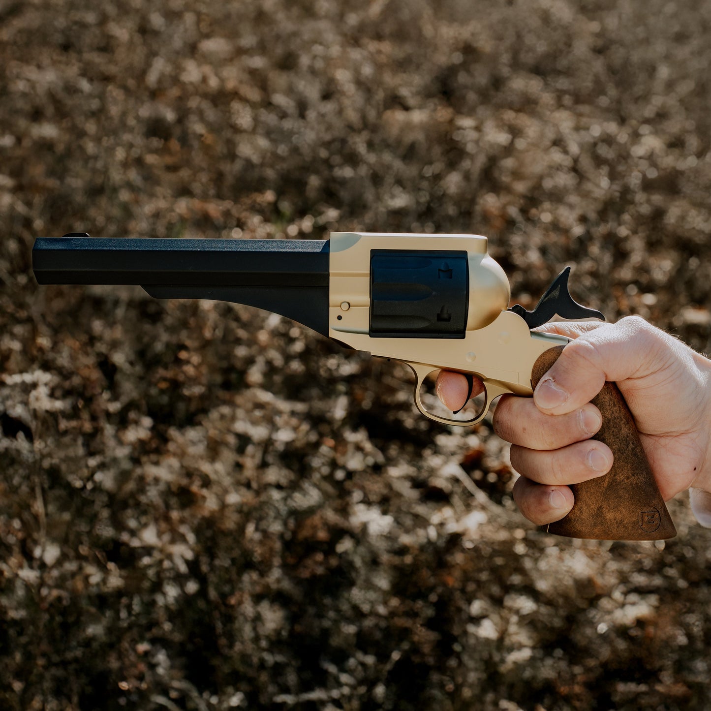 1858 CO2 Pistol Kit - Black & Gold