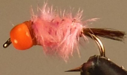 BH Ray Charles - Pink