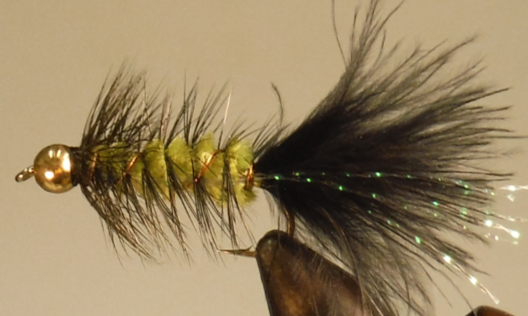 BH Bugger - Olive/Black