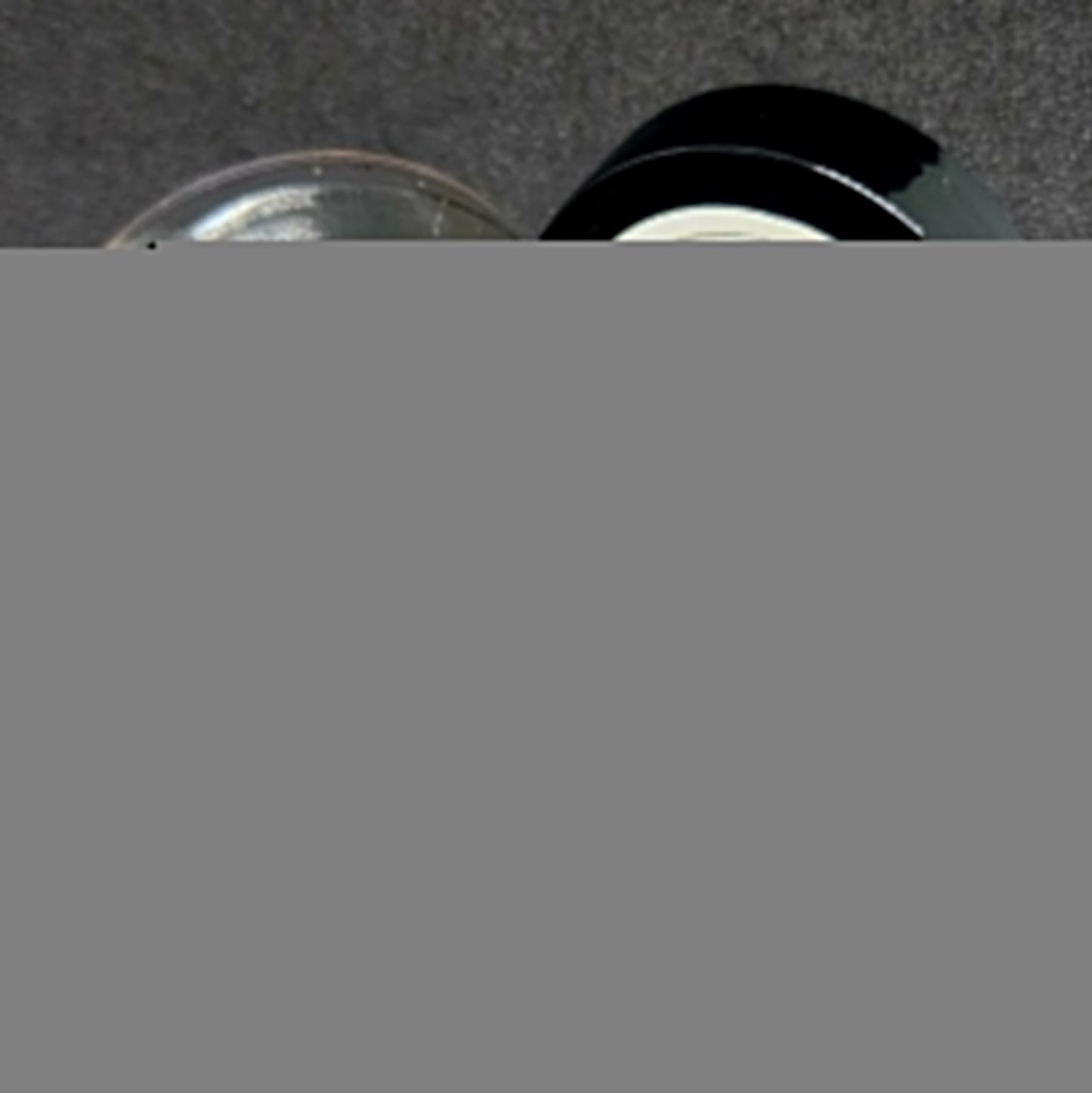 Jar of 1.8" Inch Micro Hellgrammite "The Ditch Devil"