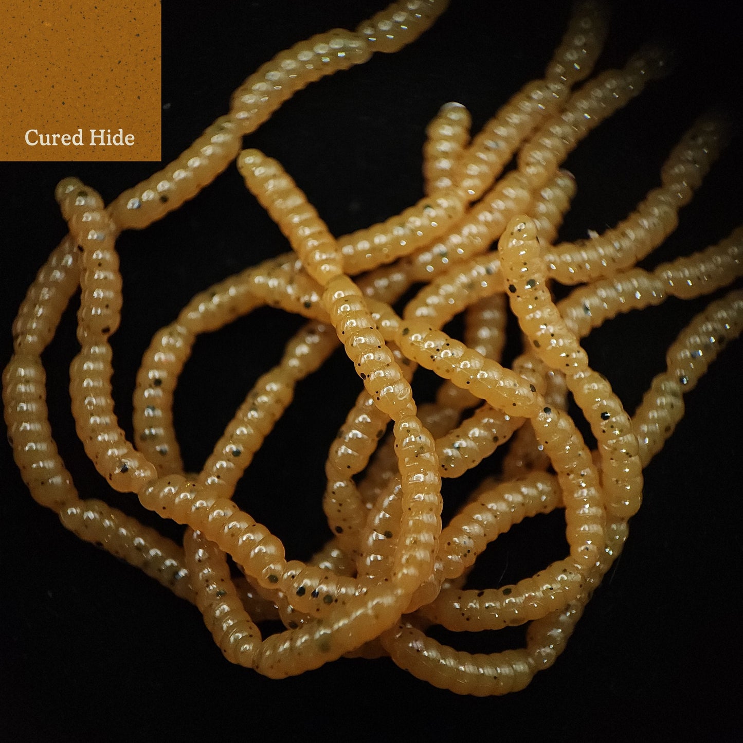 Jar of 0.5" Inch Micro Maggot Fly Larvae "The Apple Maggot"