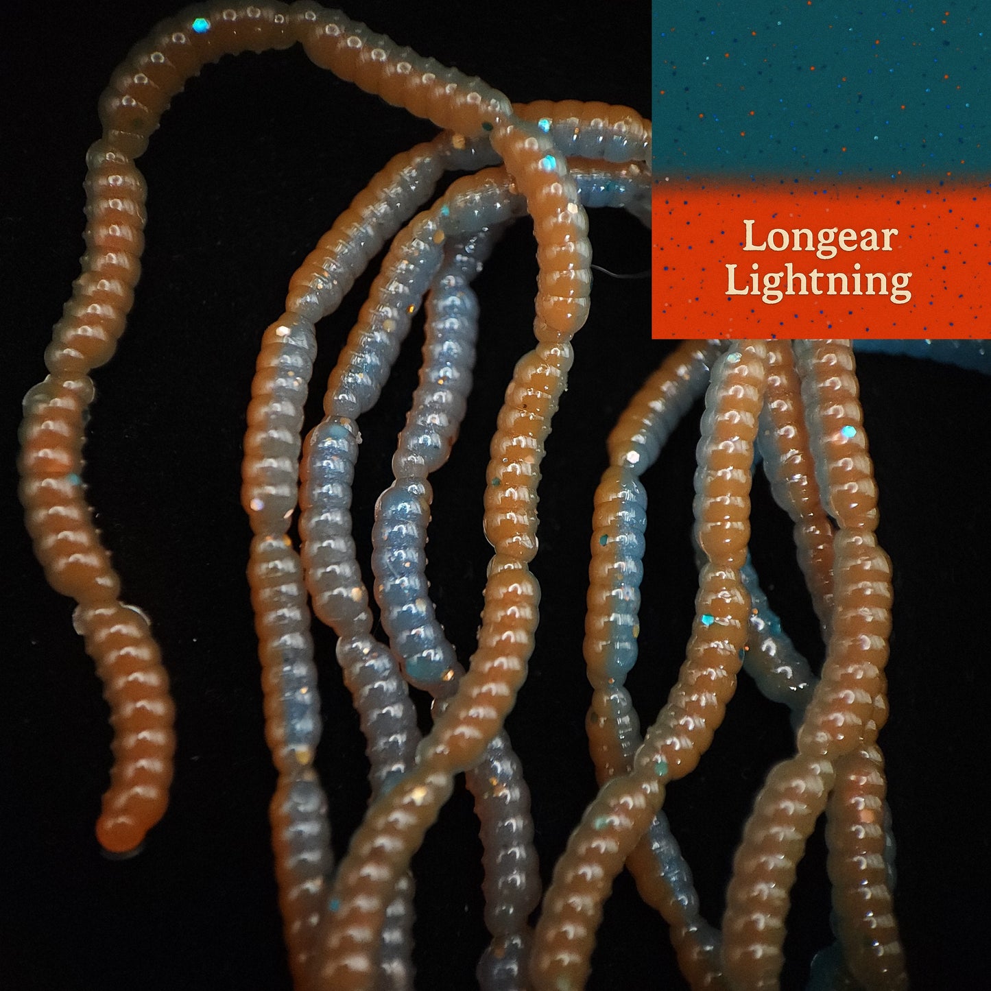 0.5" Inch Maggot Larvae "The Apple Maggot"