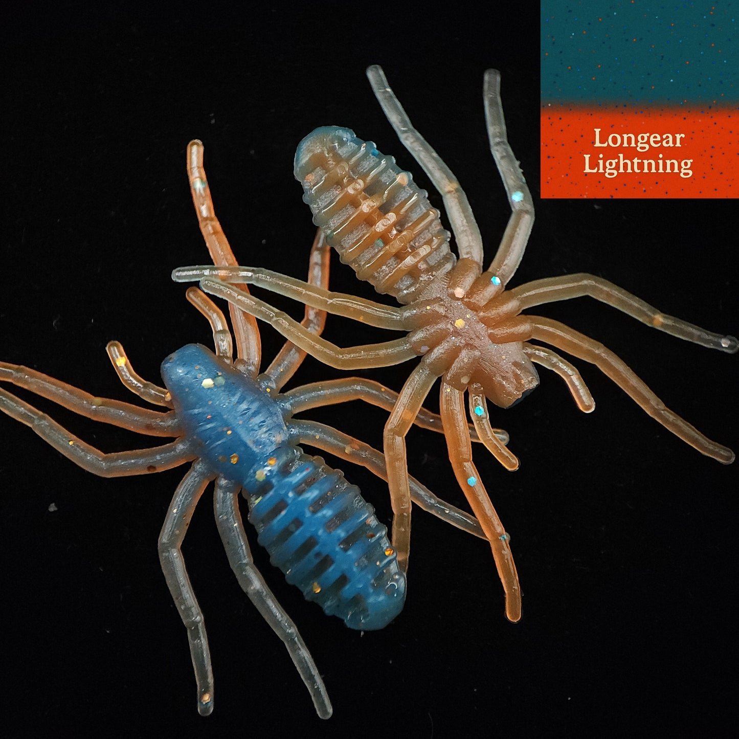 Jar of 1" Micro Spider Bait "The Writing Spider"