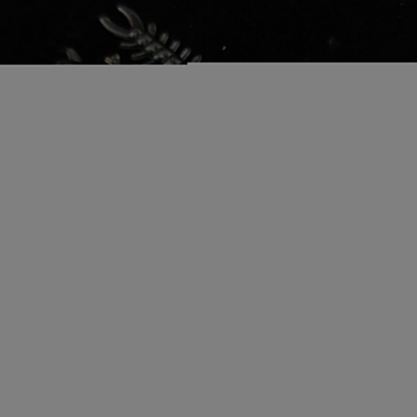 Jar of 1.8" Inch Micro Hellgrammite "The Ditch Devil"