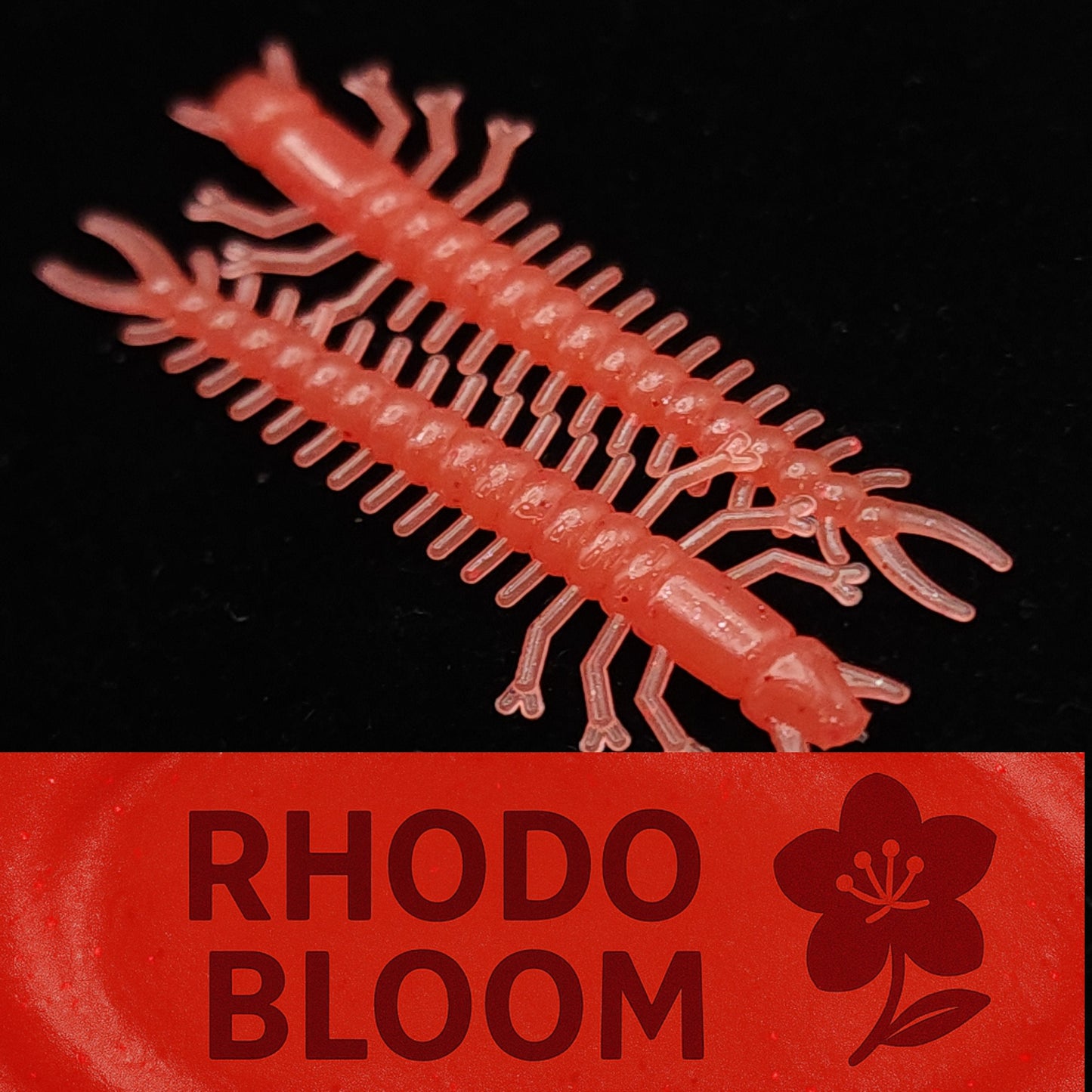 Jar of 1.8" Inch Micro Hellgrammite "The Ditch Devil"