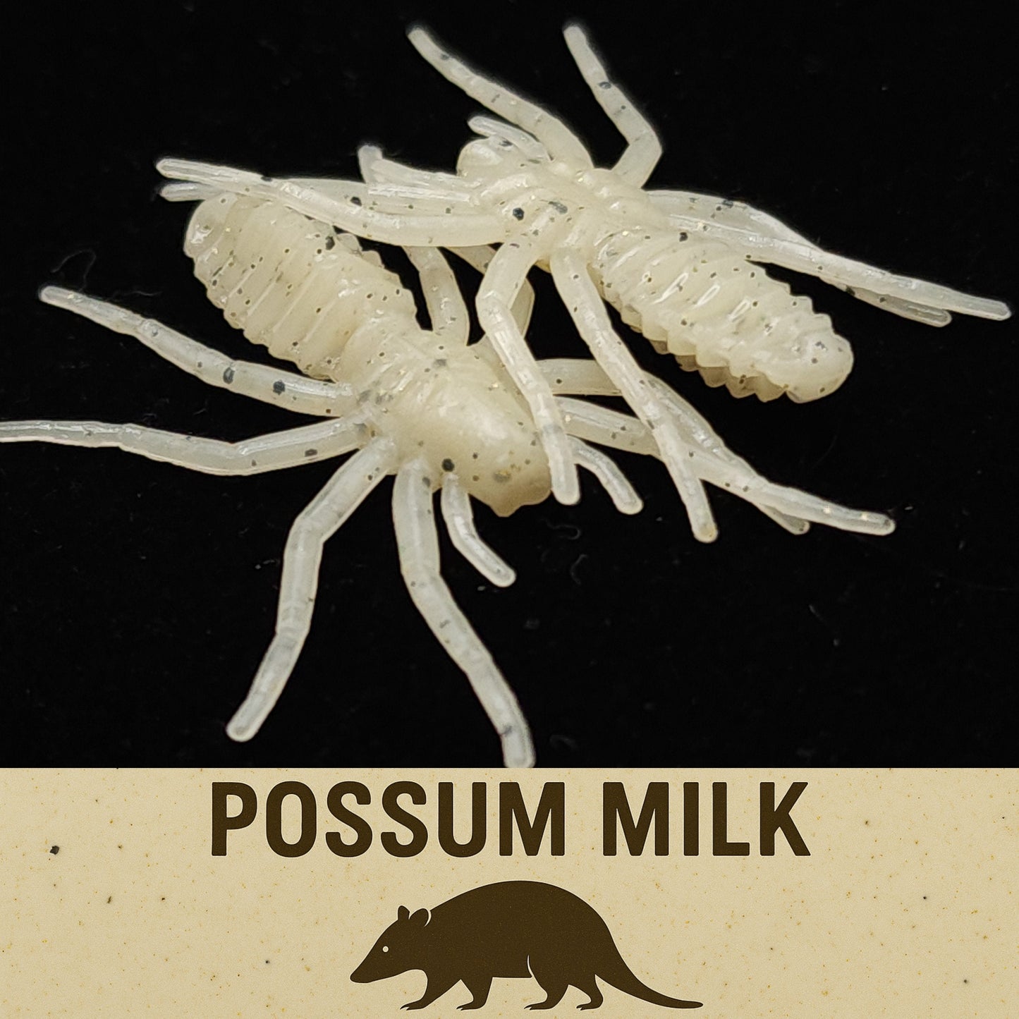 Jar of 1" Micro Spider Bait "The Writing Spider"