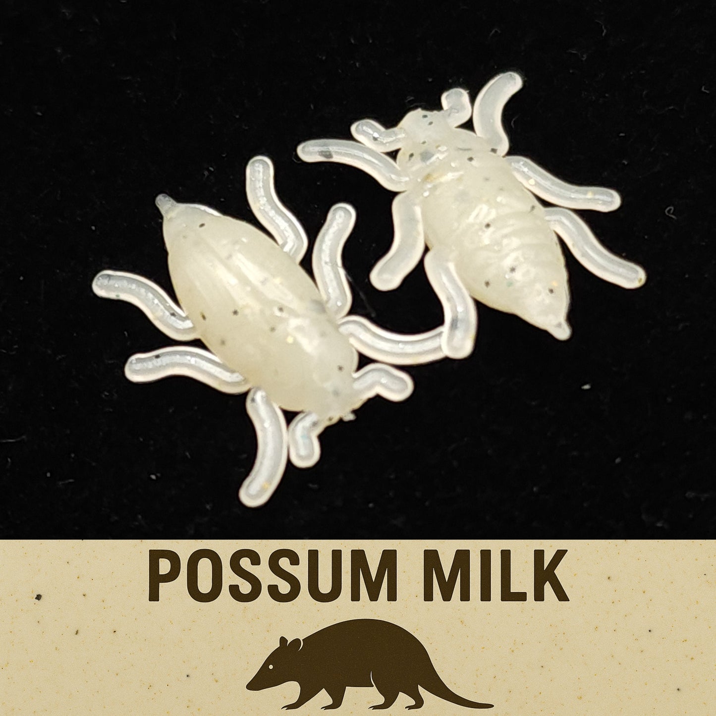 Jar of 0.5" Half Inch Micro Beetle "Toe Biter"