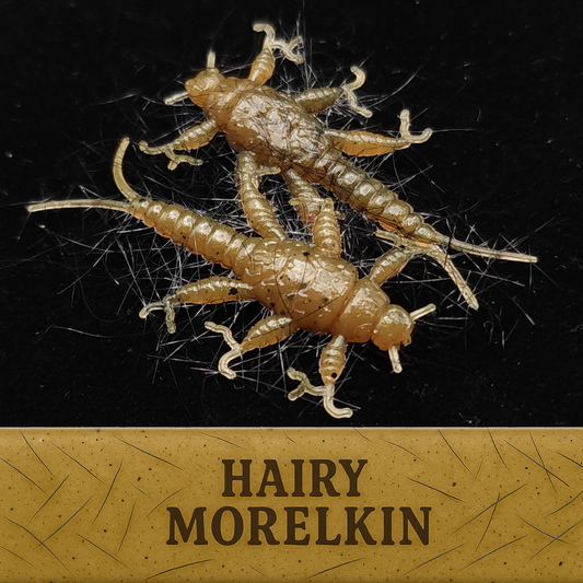 Hairy 1.5" Stonefly Larvae "The Morelkin"