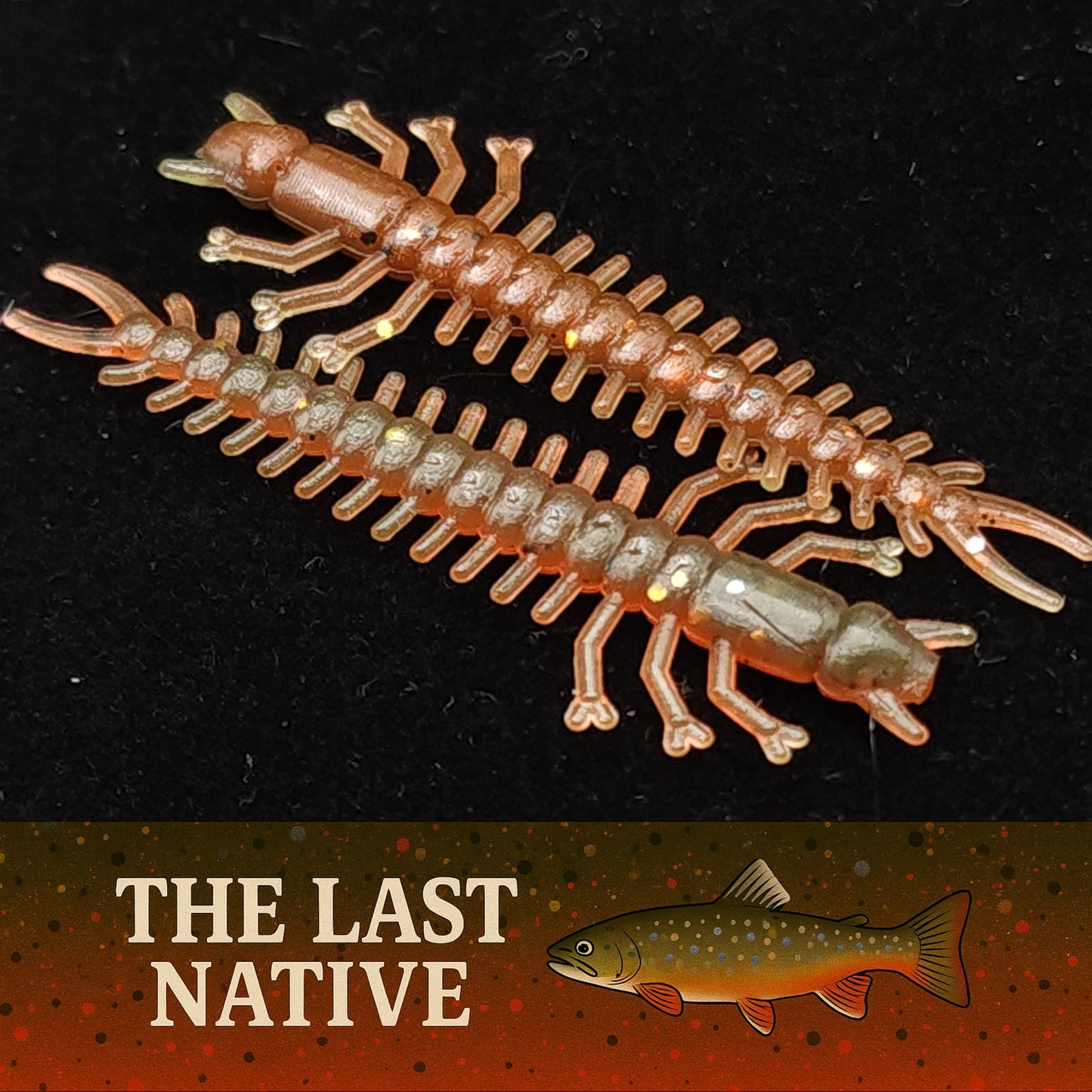 Jar of 1.8" Inch Micro Hellgrammite "The Ditch Devil"