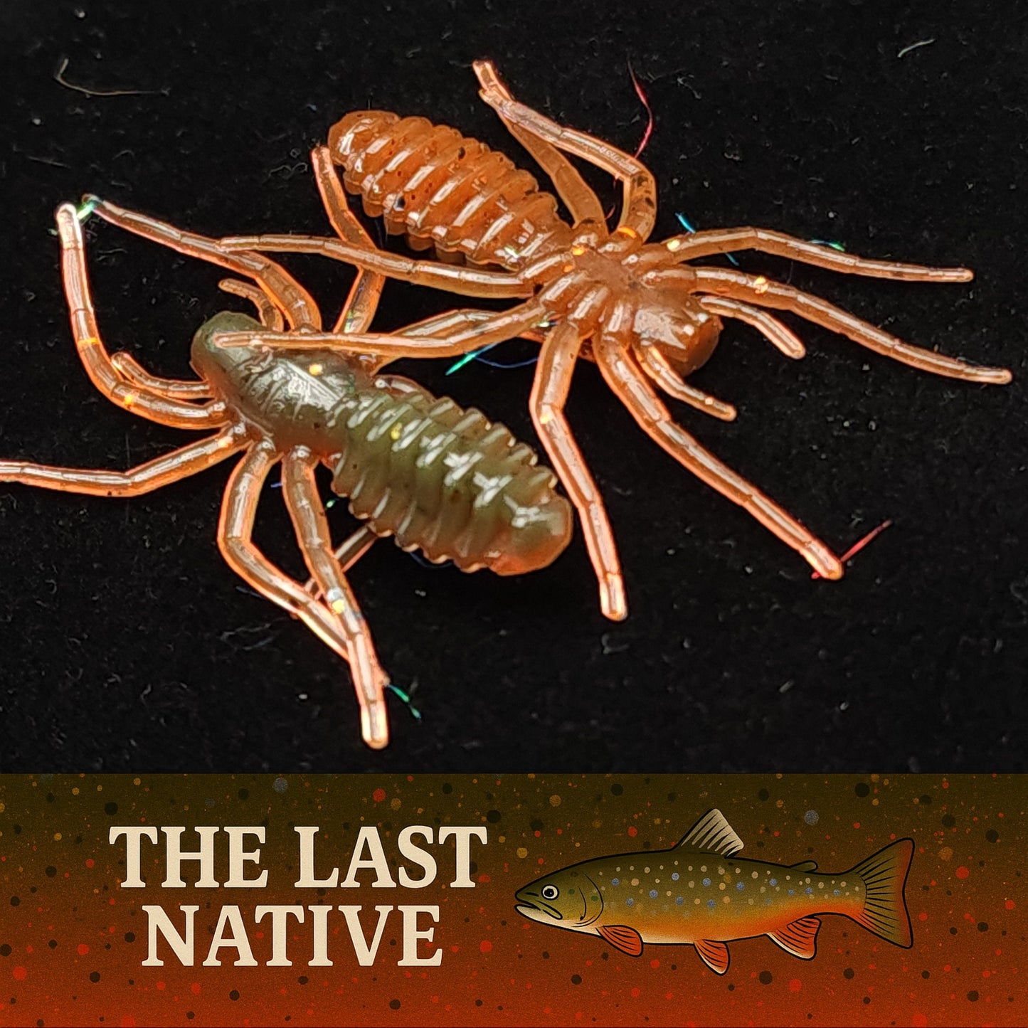 Jar of 1" Micro Spider Bait "The Writing Spider"