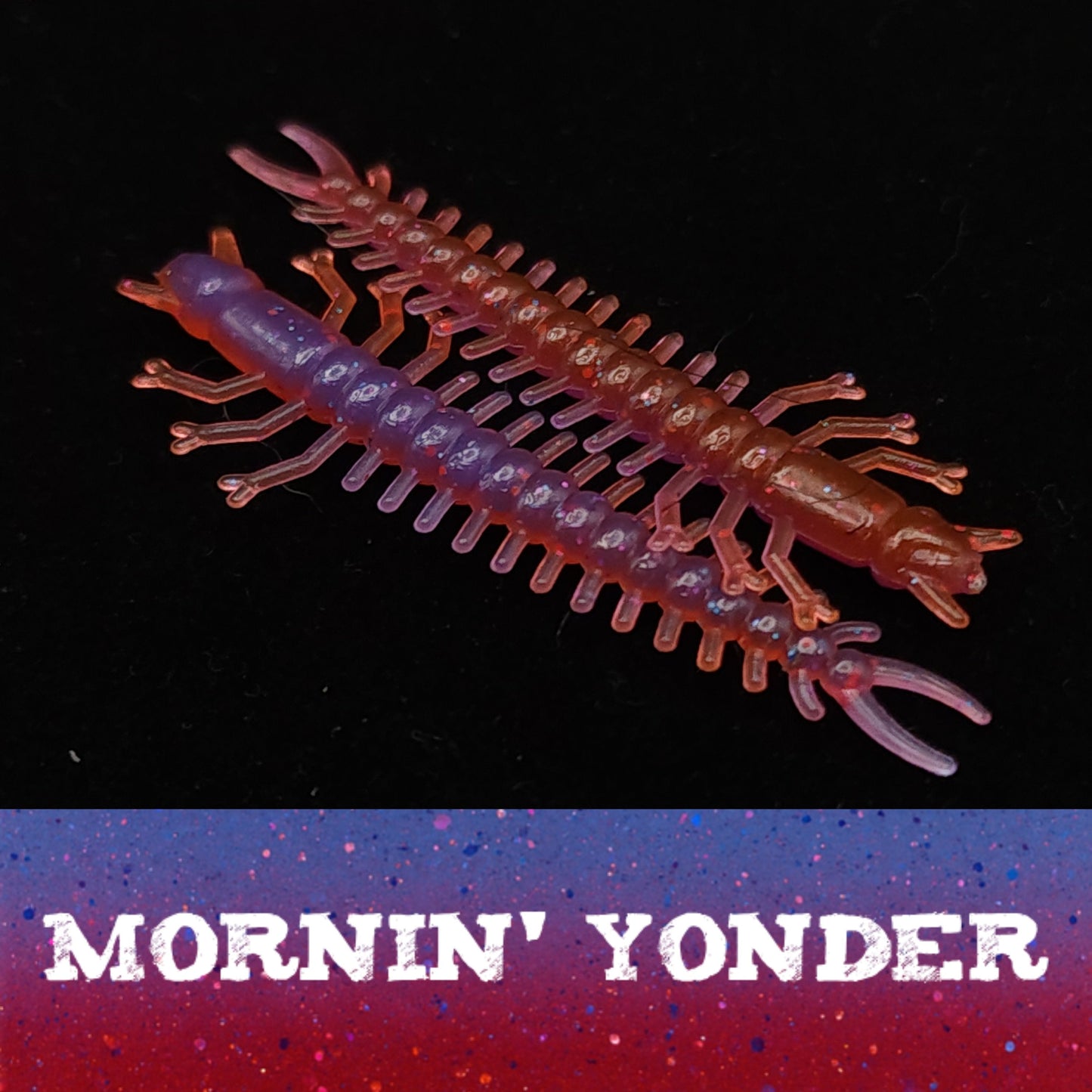 Jar of 1.8" Inch Micro Hellgrammite "The Ditch Devil"