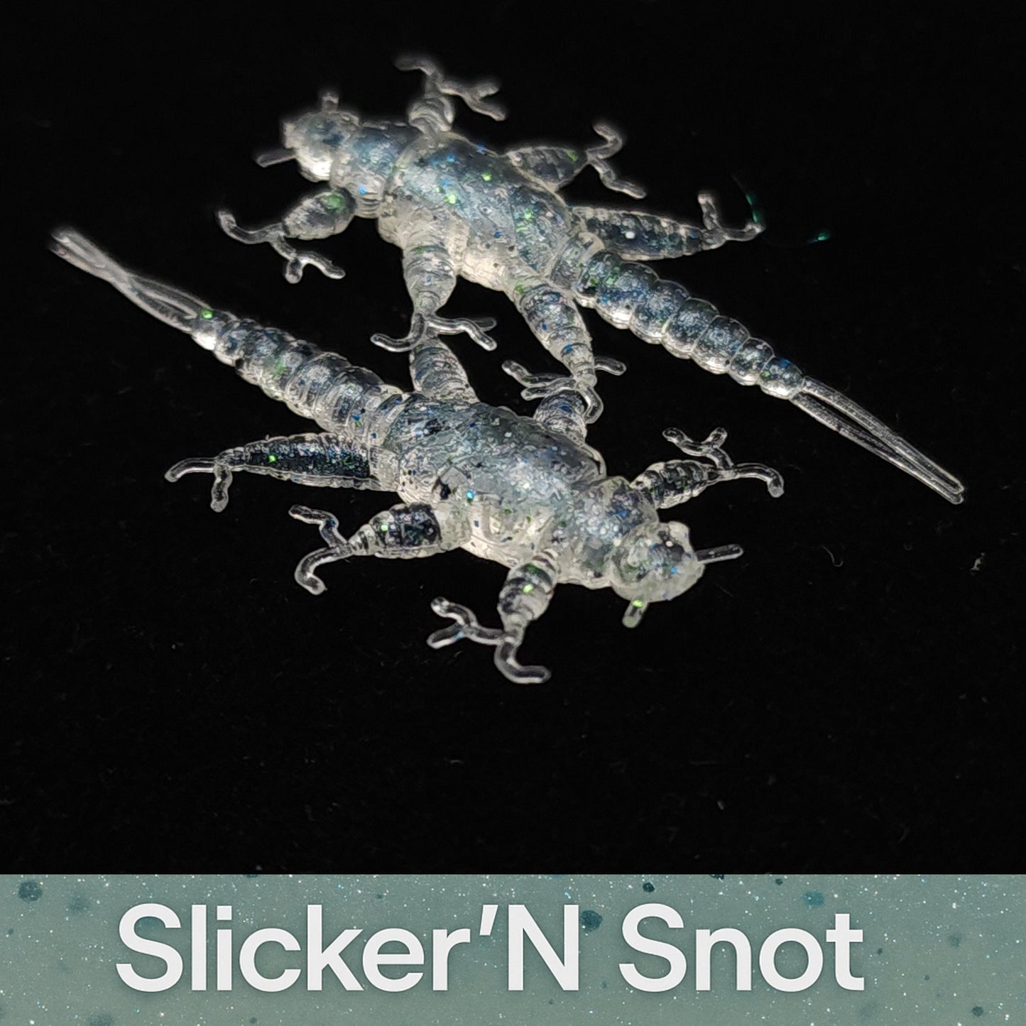 Jar of 1.5" Inch Stonefly Larvae "The Morelkin"