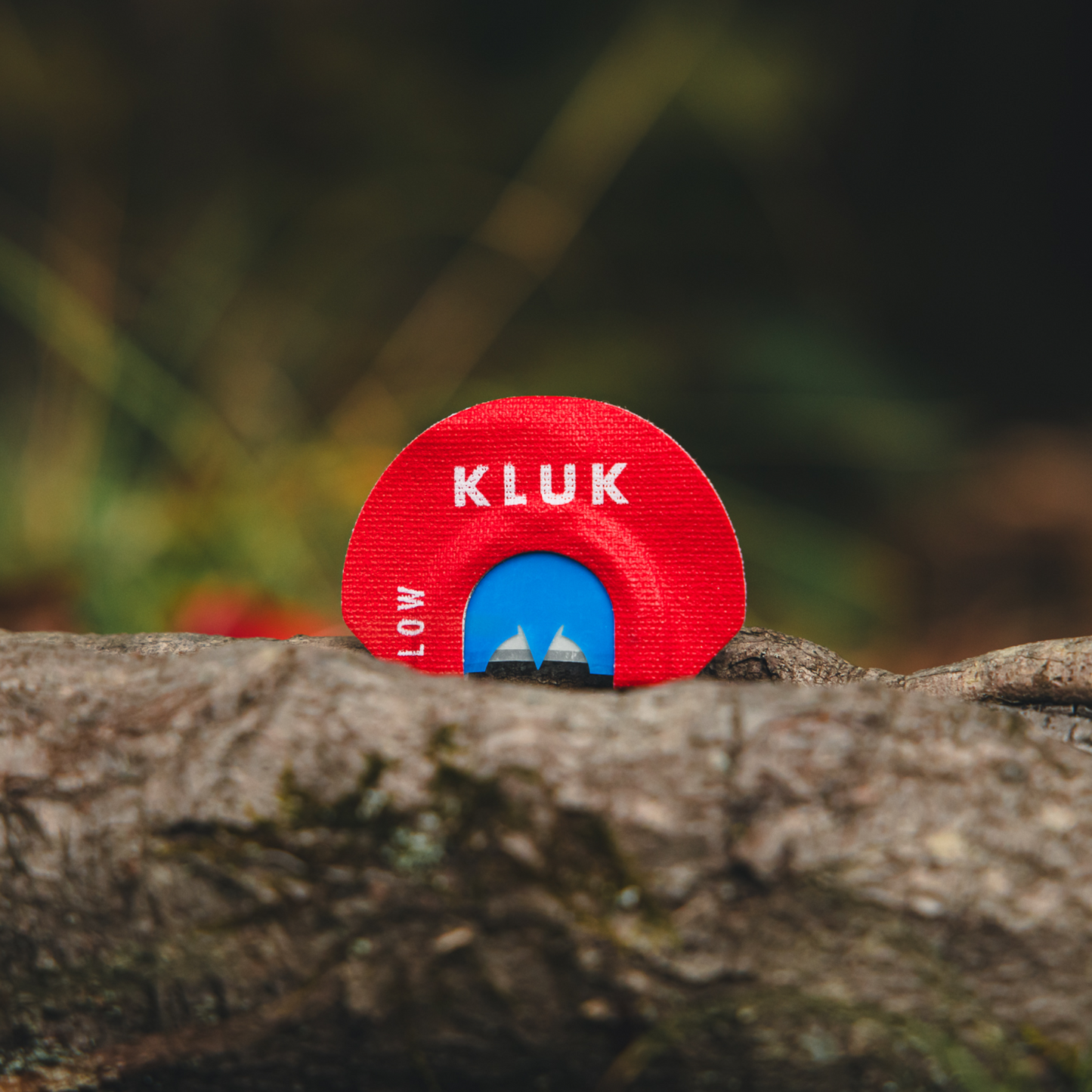 AMERICAN HERITAGE PACKAGE