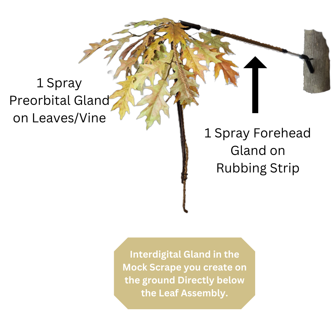 The "Ultimate Mock Scrape" Combo Pack