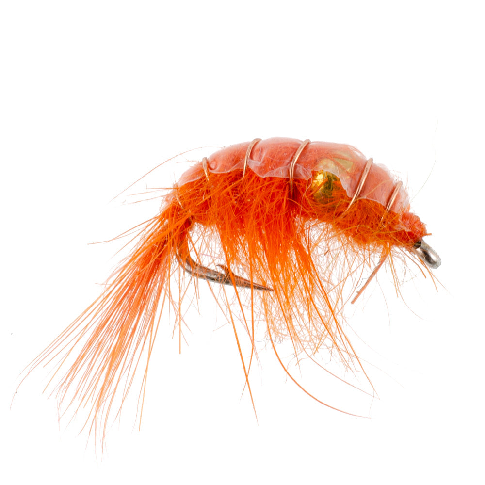 3 Pack Orange Beaded Shrimp Scud Pattern - Size 16 - Tailwater Lake Fly Fishing Nymph