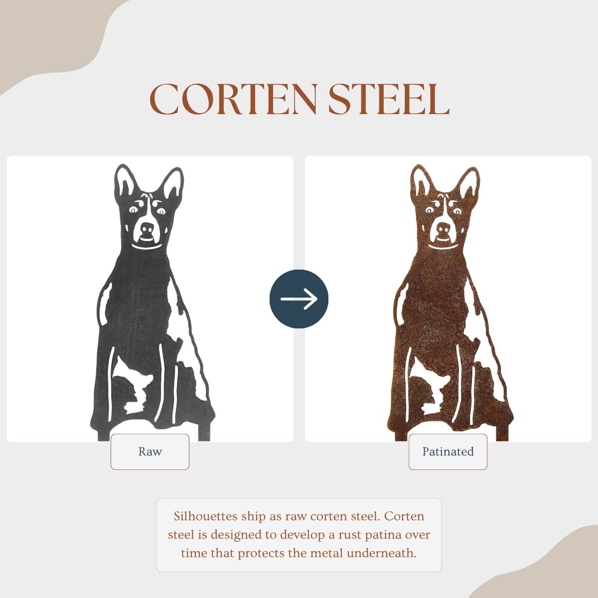 Basenji