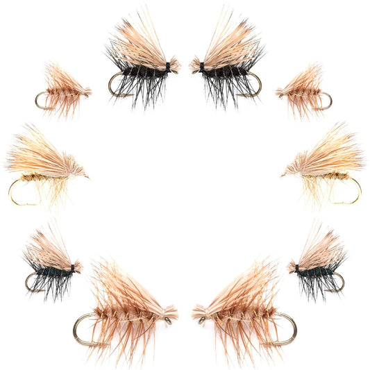 Basics Collection - Elk Hair Caddis Dry Fly Assortment - 10 Dry Fishing Flies - 5 Patterns - Hook Sizes 12, 14, 16, 18