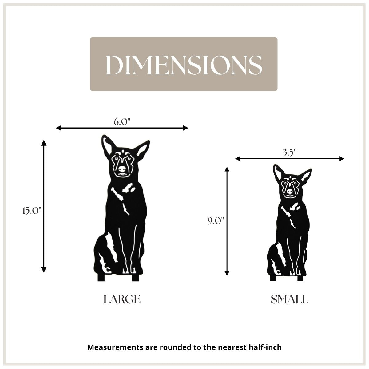 Belgian Malinois