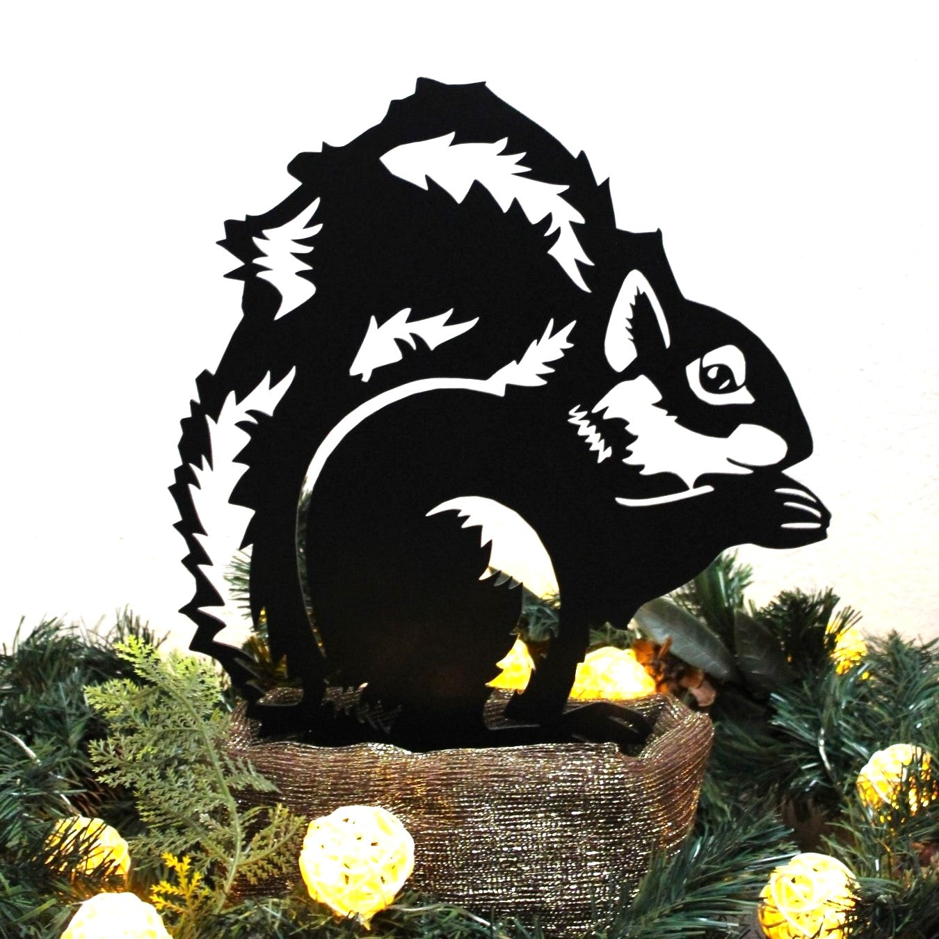 Squirrel