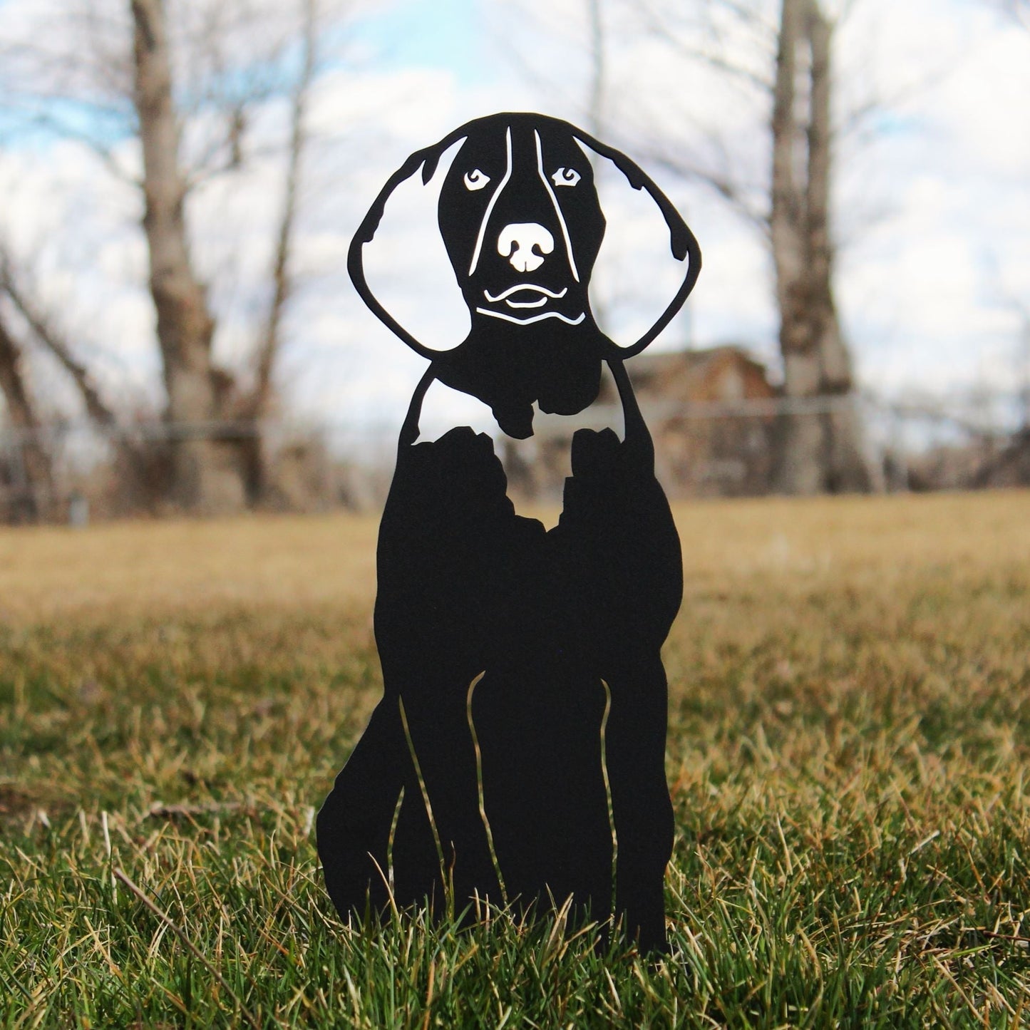 Treeing Walker Coonhound