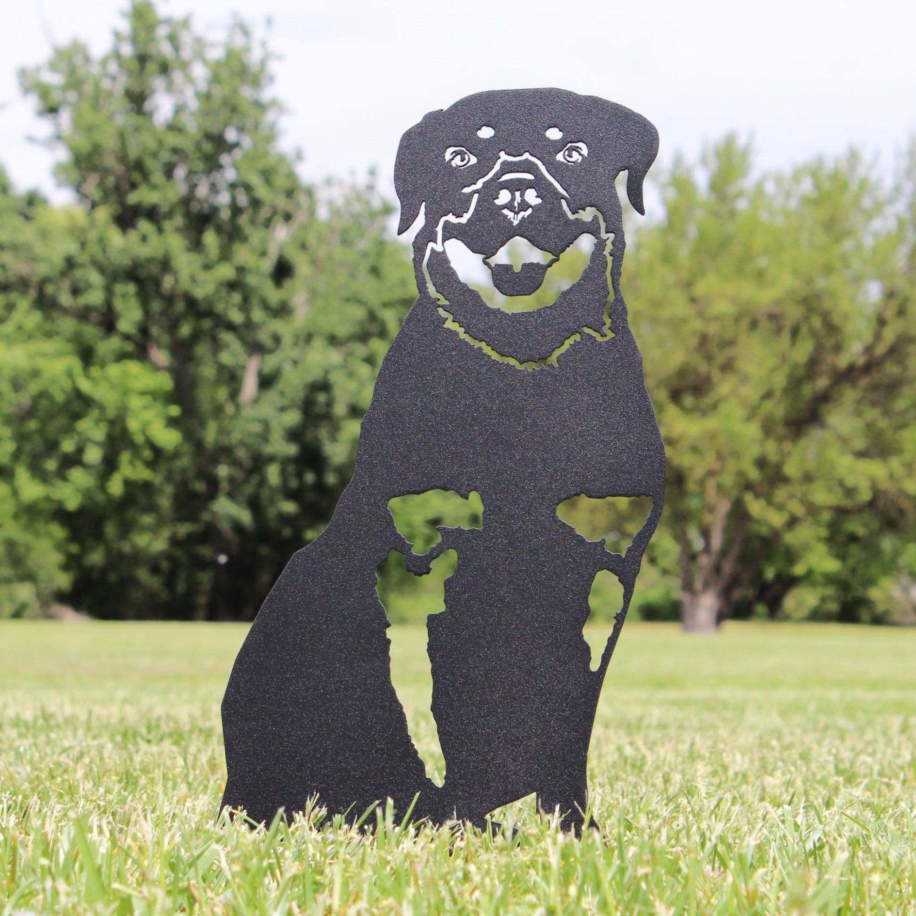 Rottweiler – SCY-Dist.com