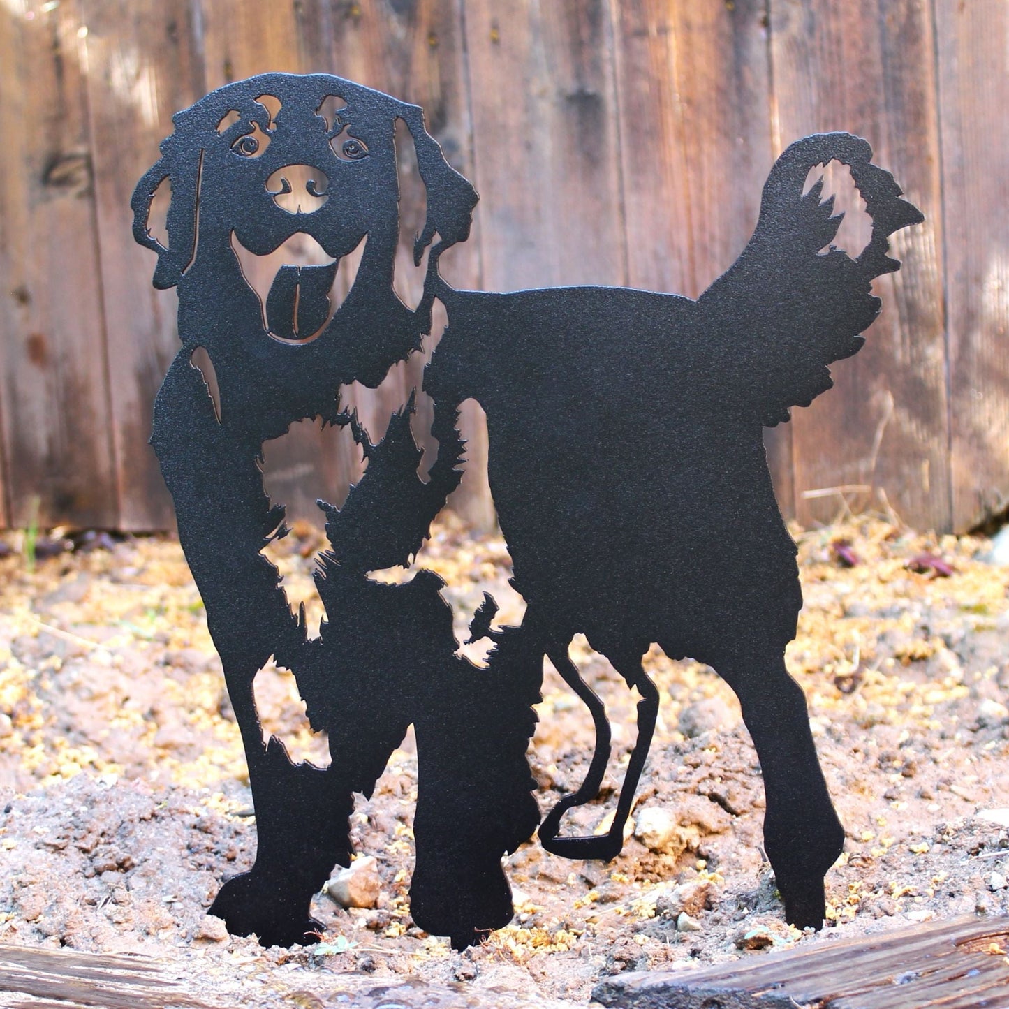 Golden Retriever - Standing