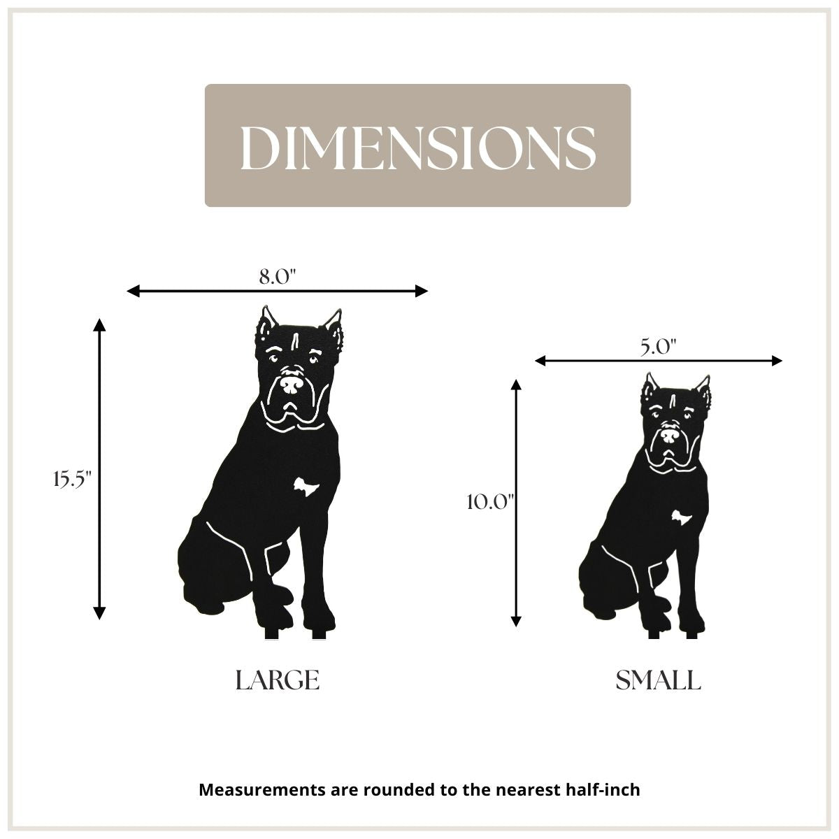 Cane Corso