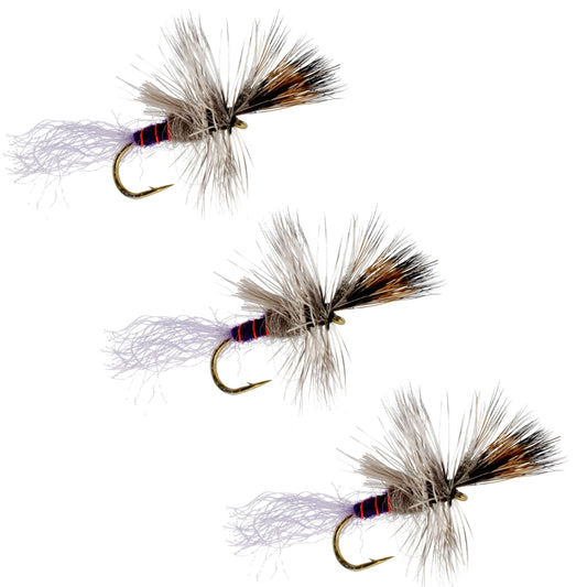 3 Pack Purple Haze Cripple Mayfly Hook Size 18