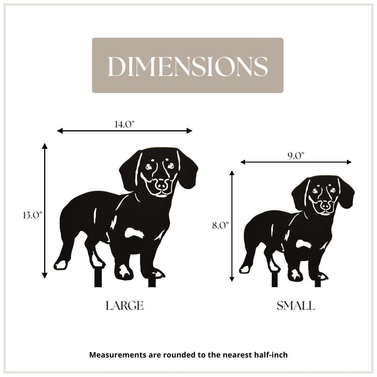 Dachshund - Shorthaired