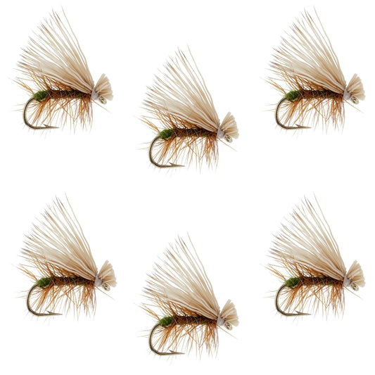 Olive Elk Hair Caddis Classic Trout Dry Fly - Set of 6 Flies Size 14