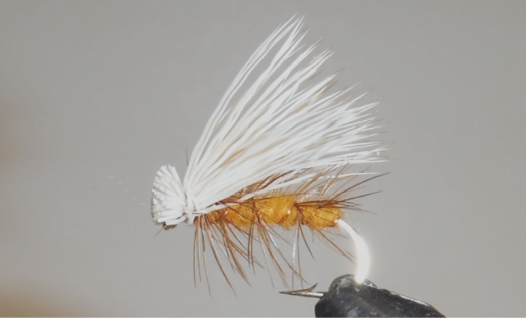 Elk Hair Caddis - 8 Colors!