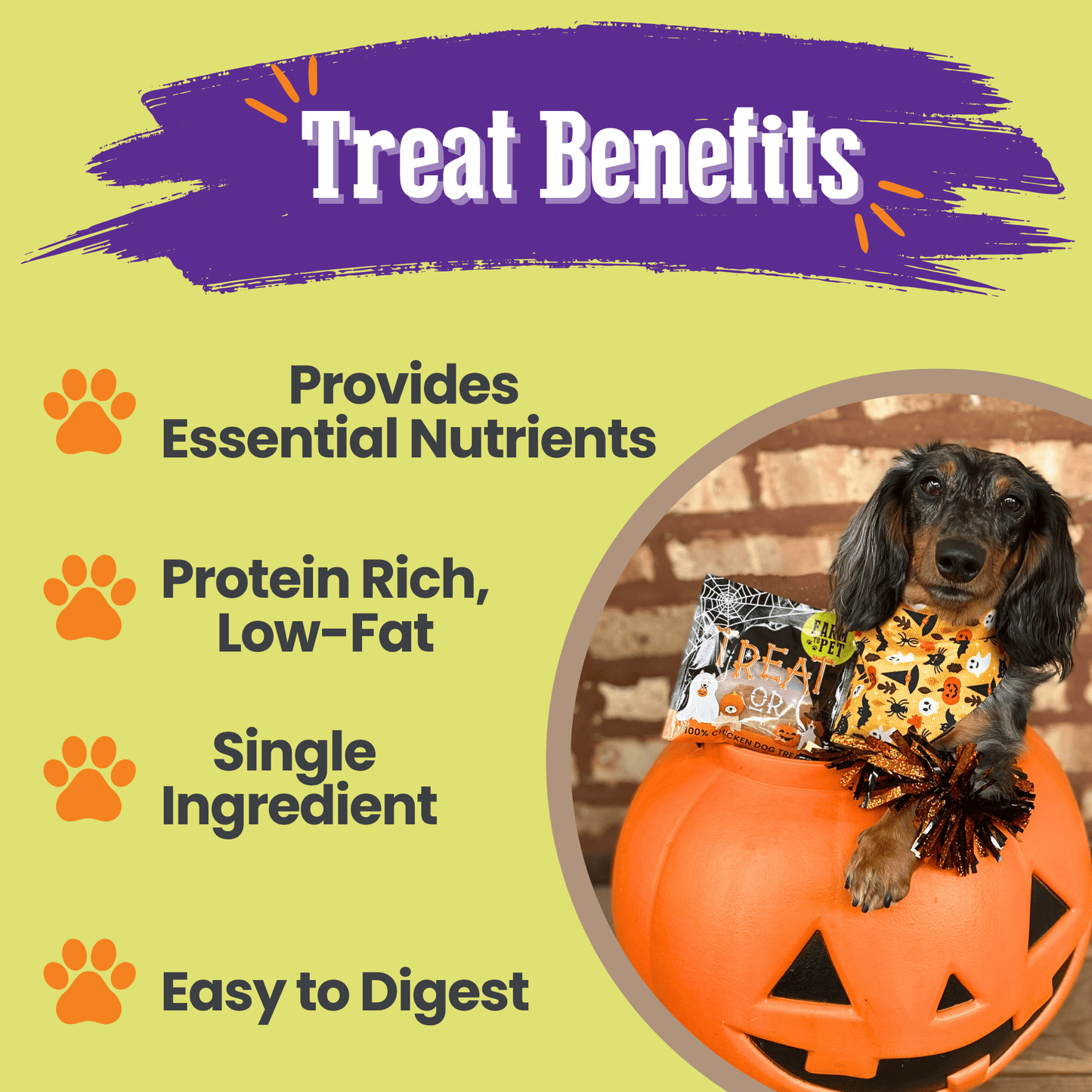 Trick or Treat Chip Mix Halloween Dog Treats