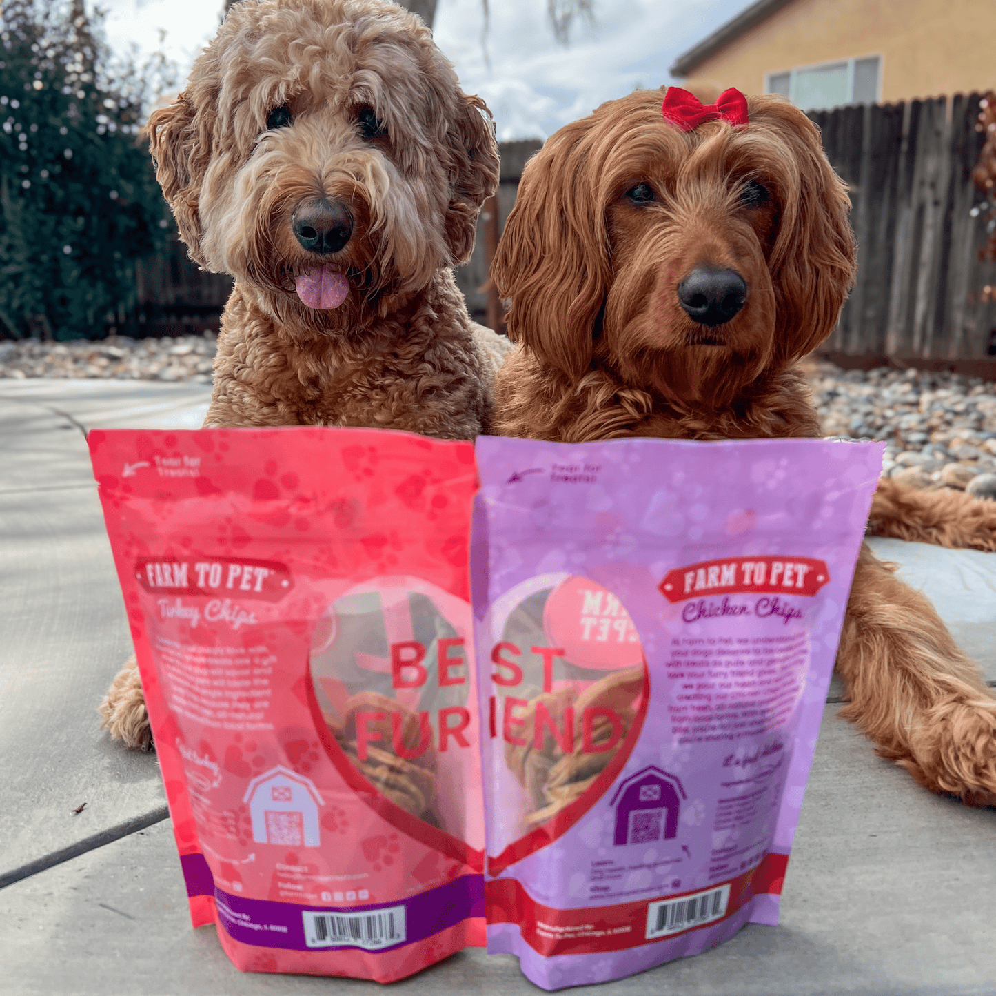 Puppy Love Dog Treat Duo | Poultry Chip Variety Pack