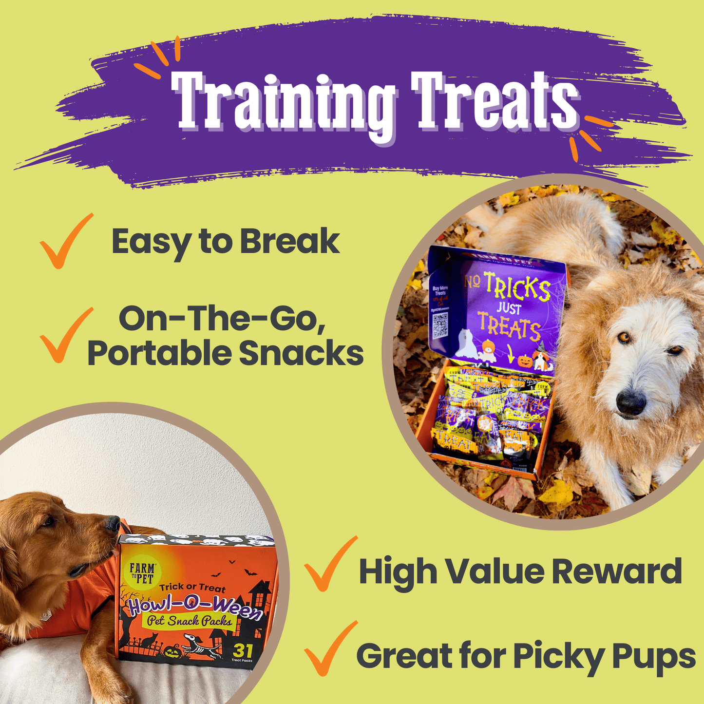 Halloween 31 Snack Pack Dog Treat Box