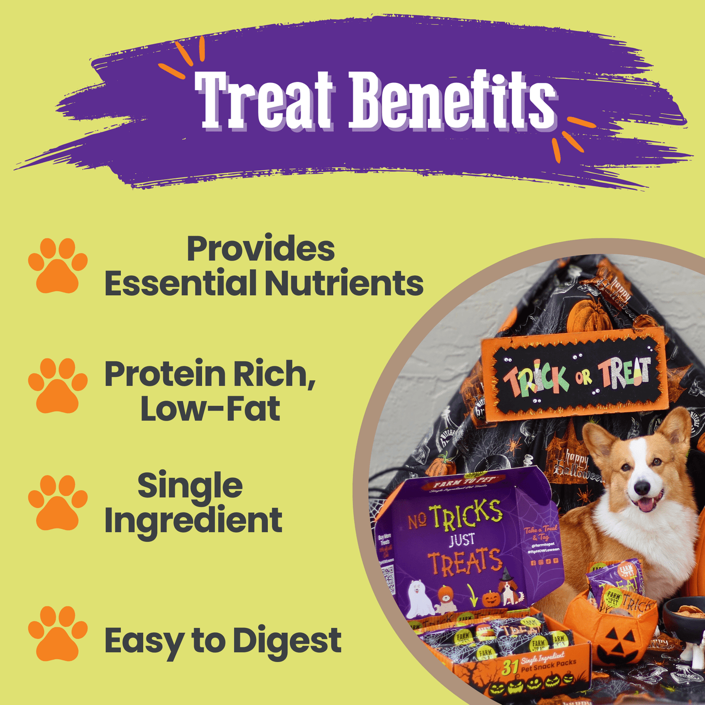 Halloween 31 Snack Pack Dog Treat Box