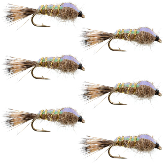 Classic Weighted Flashback Gold Ribbed Hares Ear Nymph - Set of 6 Flies - Size 12