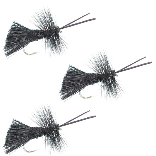 3 Pack Goddard Caddis Black Dry Fly - Hook Size 12