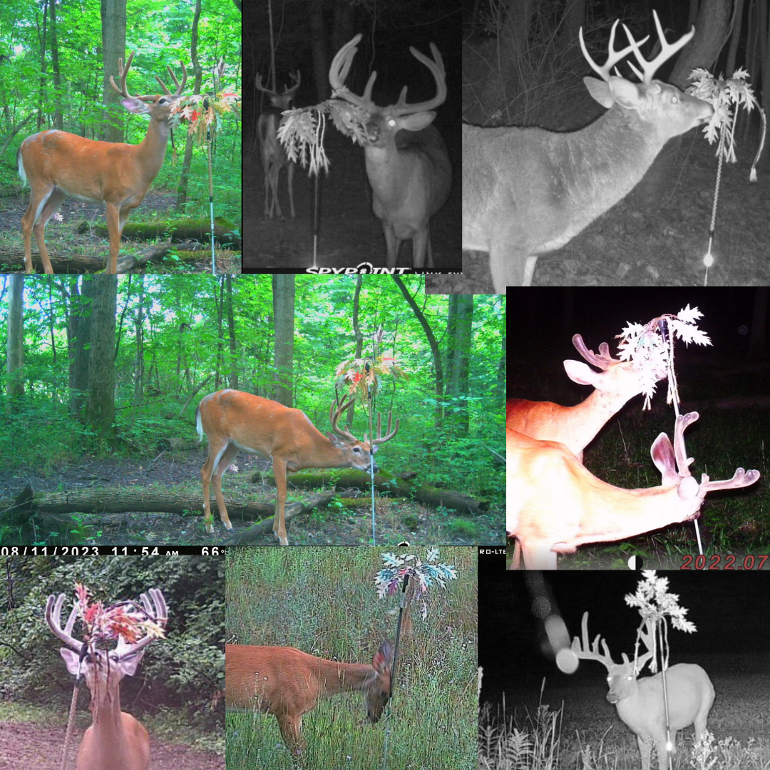 The "Ultimate Mock Scrape" Combo Pack