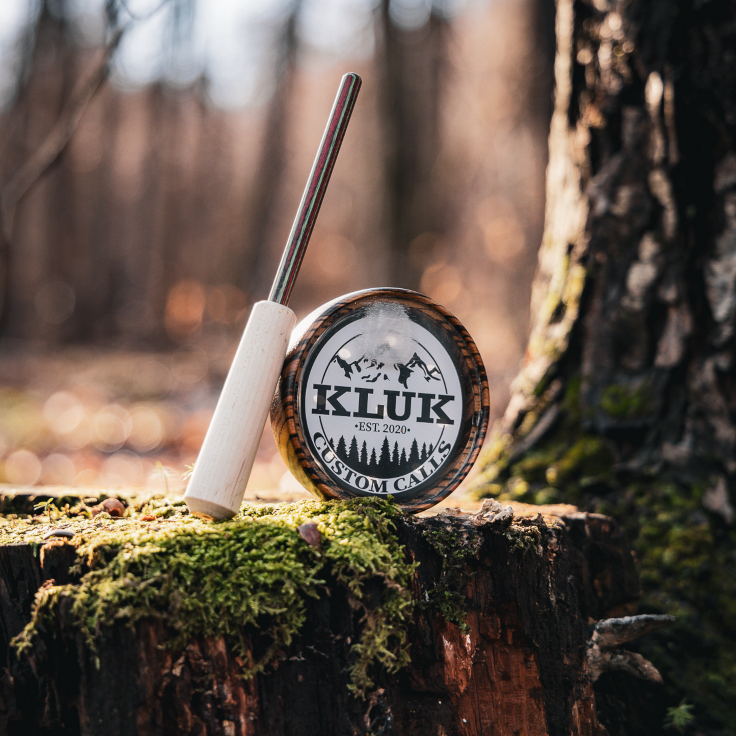 ZEBRAWOOD/GLASS WITH DYMONDWOOD STRIKER