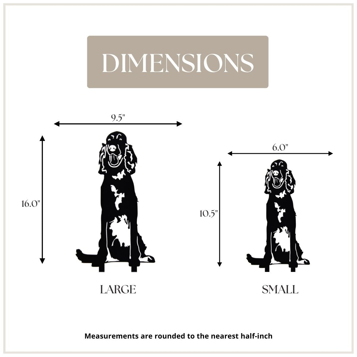 English Setter