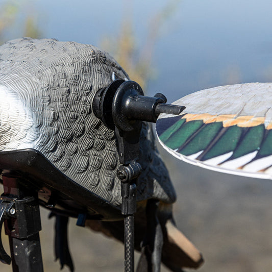 Animator V2 for Mojo Elite Series Standard